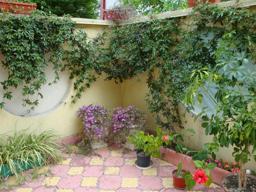 Stela Guest House Zarewo Zimmer foto